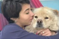 La extraño muchísimo; es duro estar en casa sin ella, dijo la joven que busca a su perra  