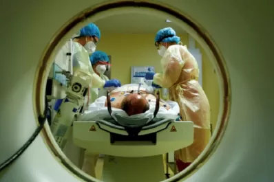 Qué es el “súper hongo”, que golpea a Estados Unidos y preocupa al mundo