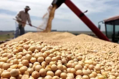 Rosario: bajas generalizadas en el precio de los granos