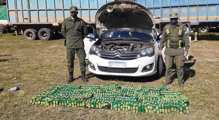 Tucumán: Gendarmería interceptó un cargamento ilegal de hojas de coca