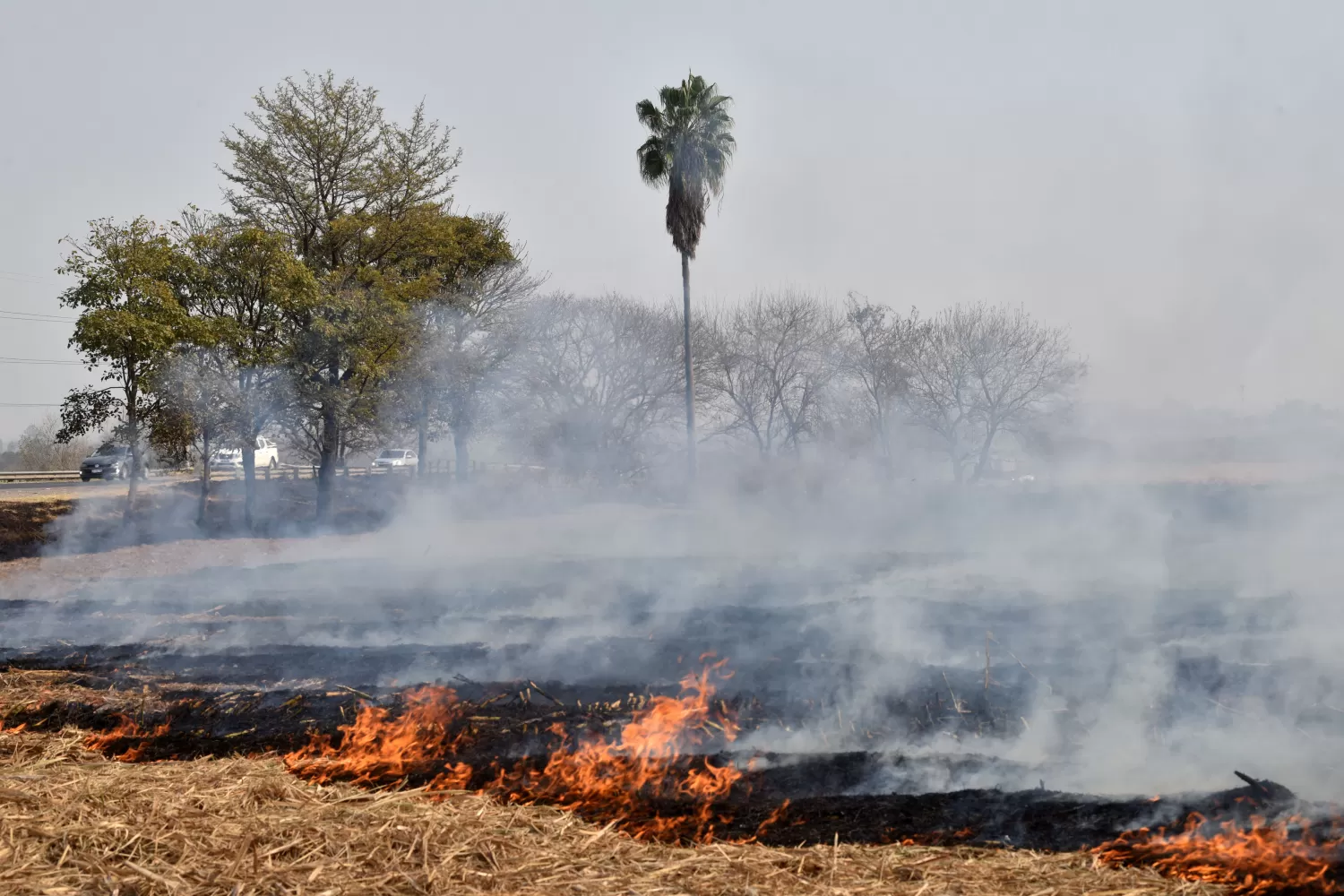 Cartas de lectores I: evolución de los focos de fuego