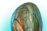 El soul va a extrañar siempre la voz profunda de Amy Winehouse 