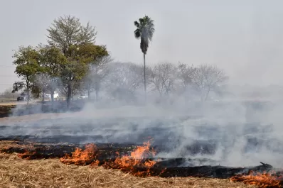 Cartas de lectores I: evolución de los focos de fuego
