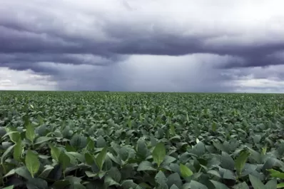 La Eeaoc realizó su tradicional taller de variedades y manejo del cultivo de la soja