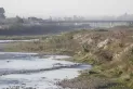 “Hay desinterés por el ambiente, al árbol se lo ve como algo que molesta y ensucia la vereda”