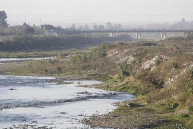 “Hay desinterés por el ambiente, al árbol se lo ve como algo que molesta y ensucia la vereda”