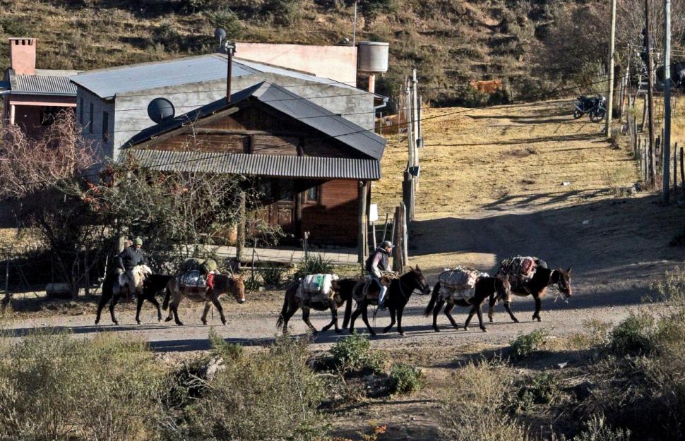 CON TODO CARGADO. Los animales son usados para trasladar todo tipo de pertenencias, desde un armario hasta paneles solares. Al guía no puede faltarle hojas de coca para evitar el apunamiento ni ropa de abrigo para soportar las bajas temperaturas.