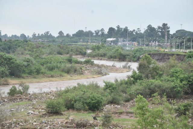 “Hay desinterés por el ambiente, al árbol se lo ve como algo que molesta y ensucia la vereda”
