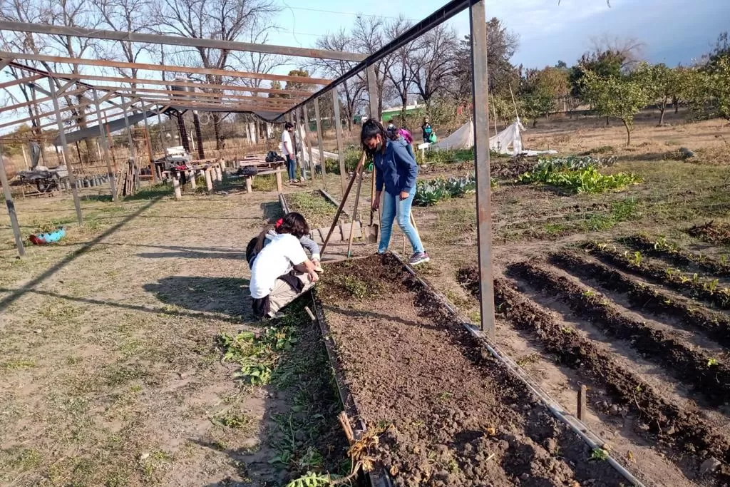 Las escuelas Agrotécnicas de Tucumán también retomaron las clases normales