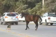 ¿Qué hacemos con la Perón?