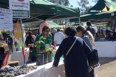 Hoy se abre la primera feria de Precios Protegidos