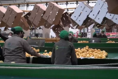 El Senasa realiza inspecciones en los empaques de cítricos de Tucumán