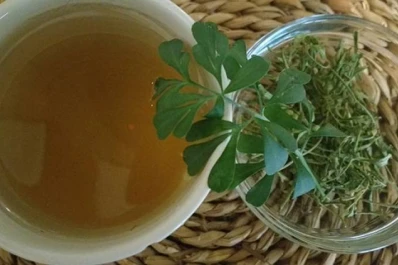 Cómo se hace el té con ruda y por qué se toma en agosto