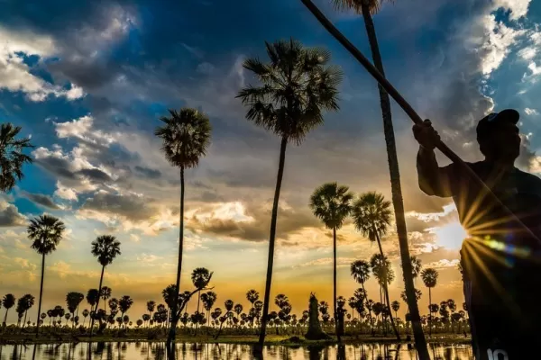 Tucumán Cine: el documental y las voces distintas dominaron la agenda