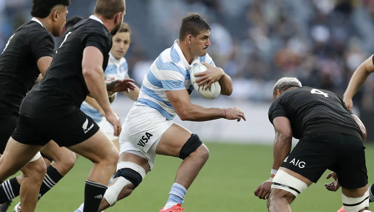 ¿SE REPETIRÁ? Liderados por Matera, Los Pumas vencieron por primera vez a los All Blacks, el año pasado, jugando en Australia.