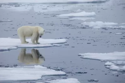 Advertencia de la ONU sobre cambio climático