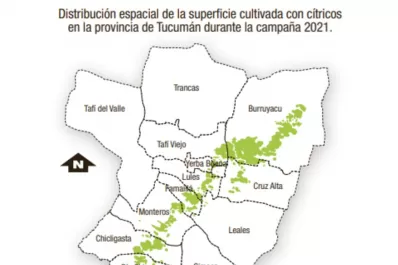 Este año se implantaron con cítricos casi 52.000 hectáreas en Tucumán