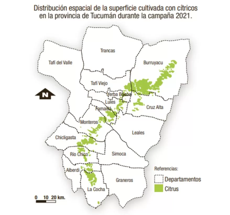 Este año se implantaron con cítricos casi 52.000 hectáreas en Tucumán