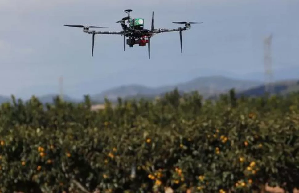 VENTAJA. El drone accede fácil a lotes alejados o pendientes pronunciadas. 