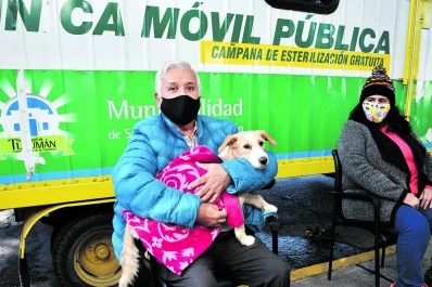 Mascotas: dónde estará esta semana el quirófano móvil de la Municipalidad