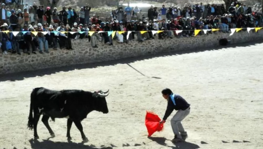 FIESTA. Del tradicional Toreo de la Vincha de Casabindo, Jujuy, participarán 250 personas.