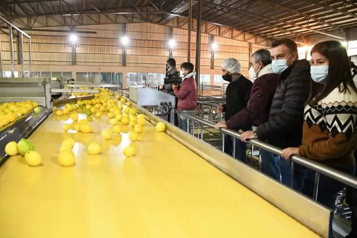 Alfaro y Albarracín visitaron una planta procesadora de citrus