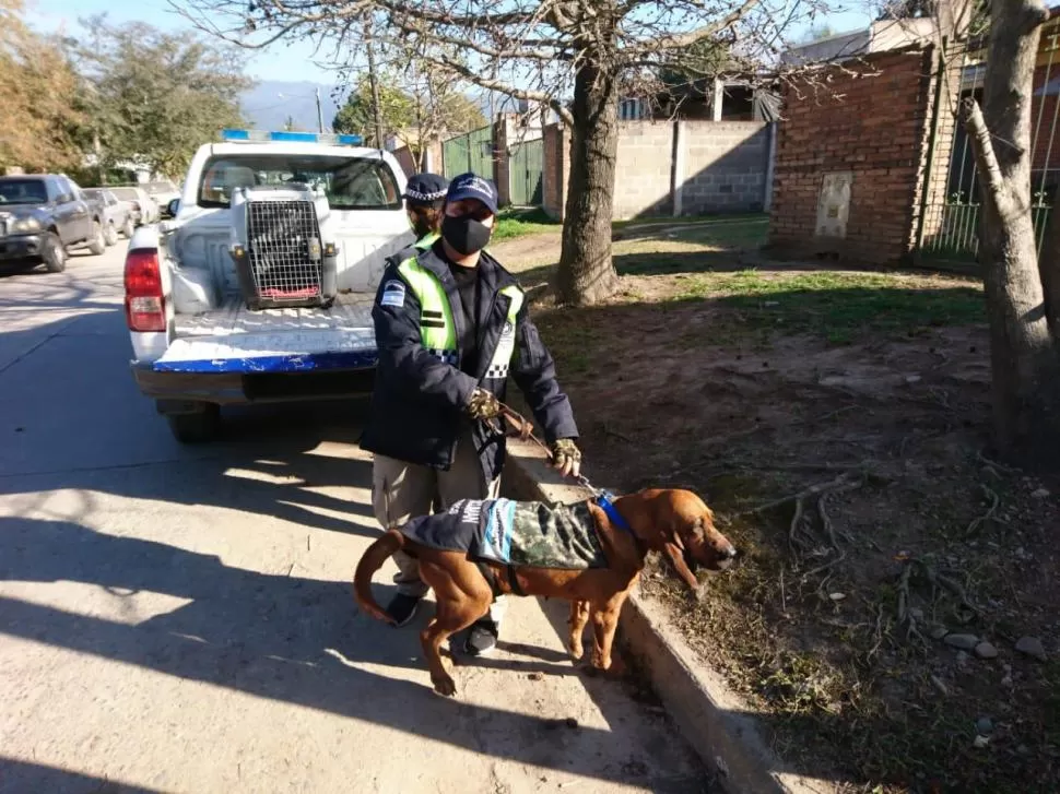 PROTAGONISTA. La perra Wanda marcó el lugar donde estuvo el jubilado.  