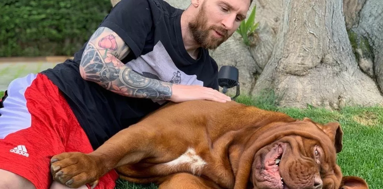 ¿Qué pasará con Hulk?: el gigante perro de la familia Messi sigue en Barcelona