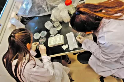 El Itanoa, un aliado científico del sector productivo