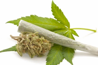 La Iglesia, contra la legalización de la marihuana: “Es inexplicable que se hable de hipocresía”