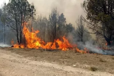 Cambio climático en Tucumán: los gobiernos locales tienen que mejorar el transporte público