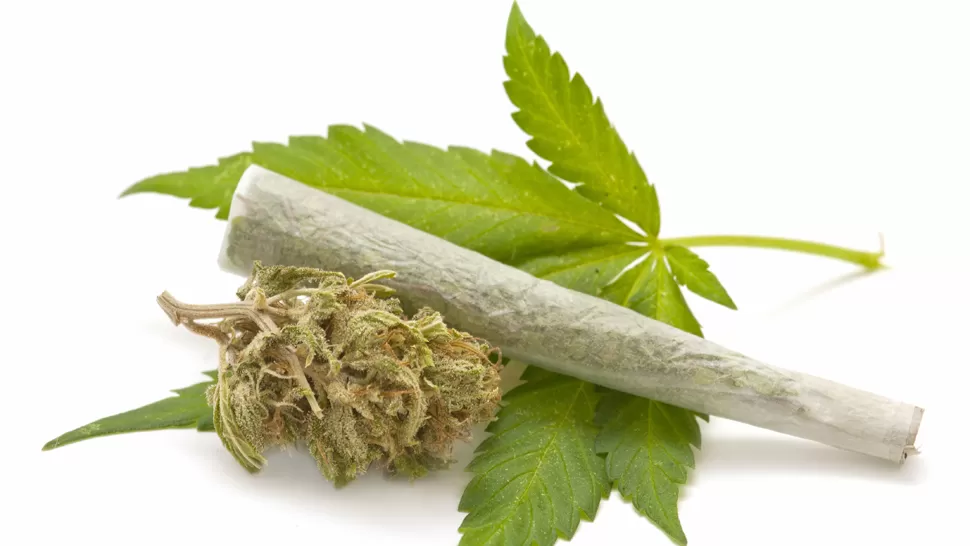 La Iglesia, contra la legalización de la marihuana: “Es inexplicable que se hable de hipocresía”