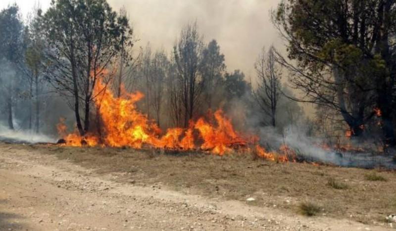 UNA CONSECUENCIA DEL CALENTAMIENTO. En la imagen que acompaña este artículo, el incendio en San Javier, en octubre de 2021, producto de los cinco meses sin lluvias que vivió la provincia. ARCHIVO LA GACETA