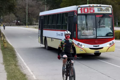 PASO 2021: habrá transporte público gratis el domingo para ir a votar