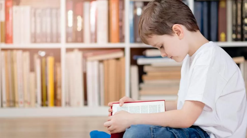 EL ANHELO. “Nuestro sueño es que cada niño pueda acceder a un libro nuevo, que puedan valorar y disfrutar de la lectura, que la lectura se instale en el hogar como práctica diaria”, dice Mejalelaty. 