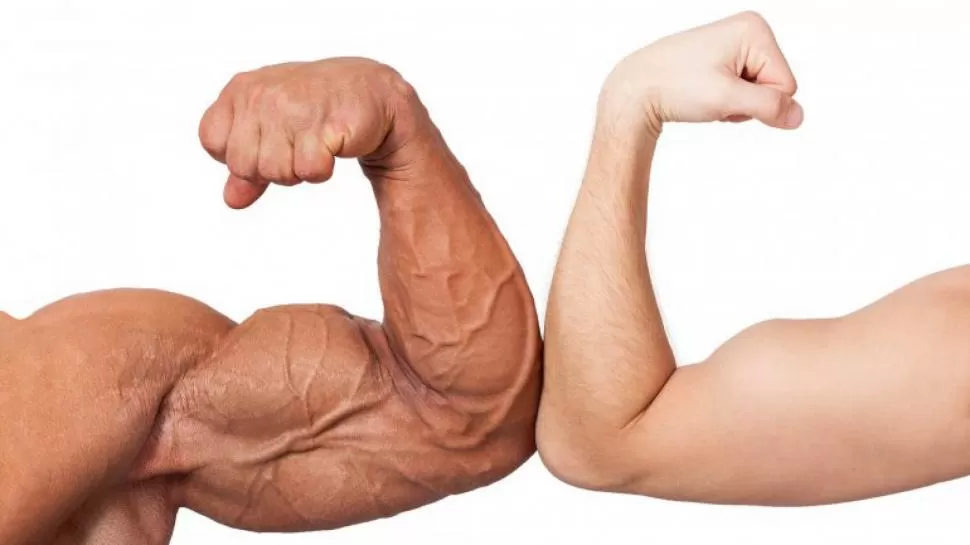 EL VALOR DE LA MUSCULATURA. Además de ayudar en el movimiento, los músculos aportan para la fuerza, el equilibrio e incluso el metabolismo. 