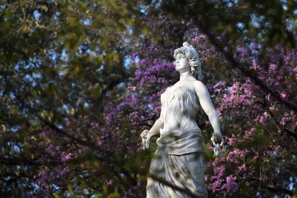 GLORIOSA. La Libertad, de Lola Mora, es acompañada por los árboles floridos que parecen celebrar su fuerza liberadora.  