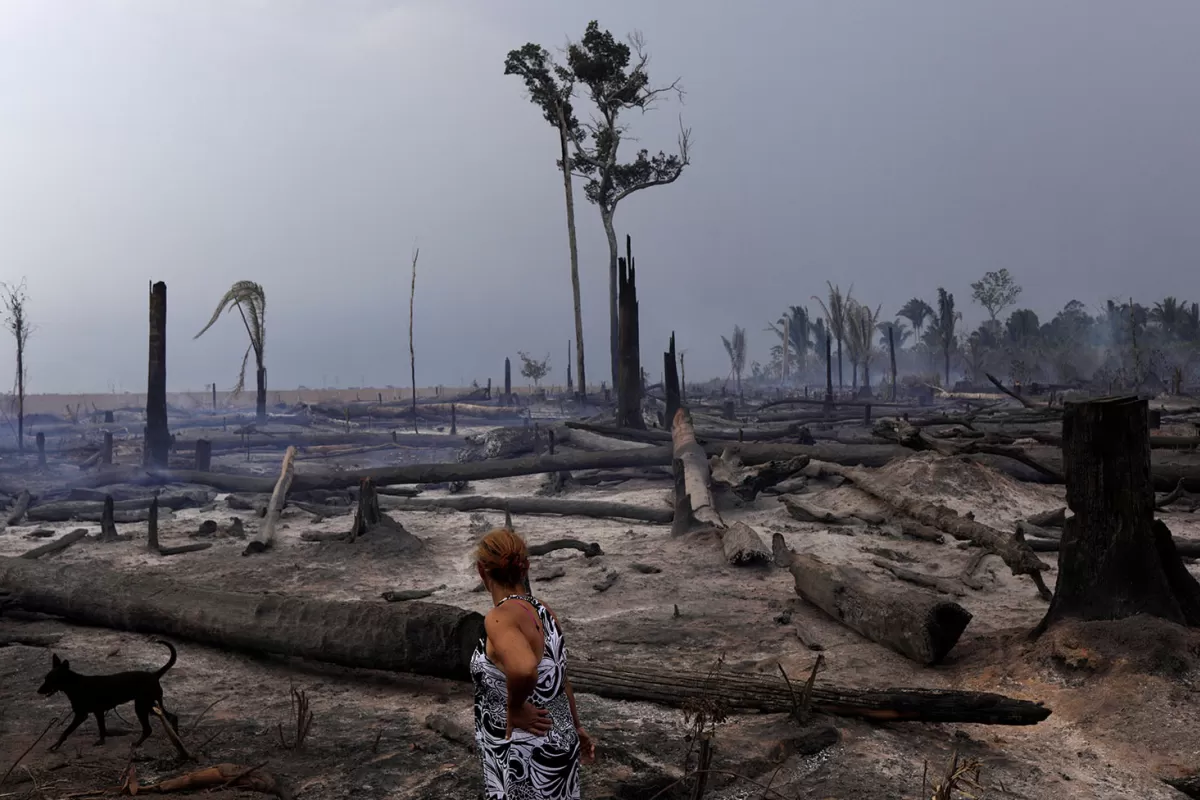 Calentamiento global: el aumento de temperatura será mayor en Sudamérica