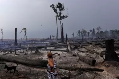 Calentamiento global: el aumento de temperatura será mayor en Sudamérica