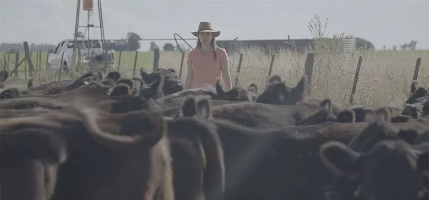 EL CAMPO ARGENTINO. Serie auspiciada por YPF Agro.