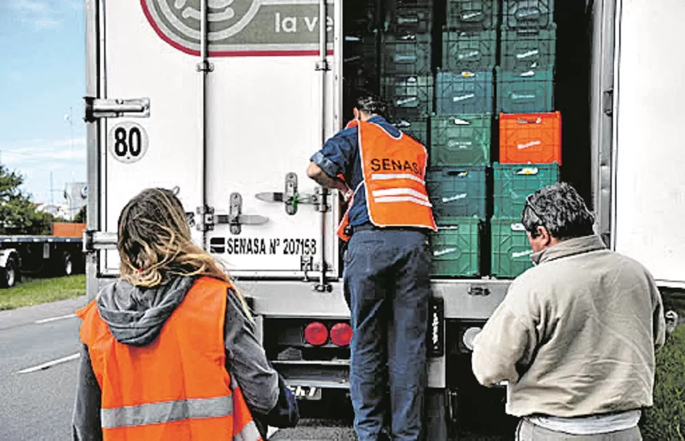 El Senasa NOA-Sur continúa con los controles en las rutas de la región