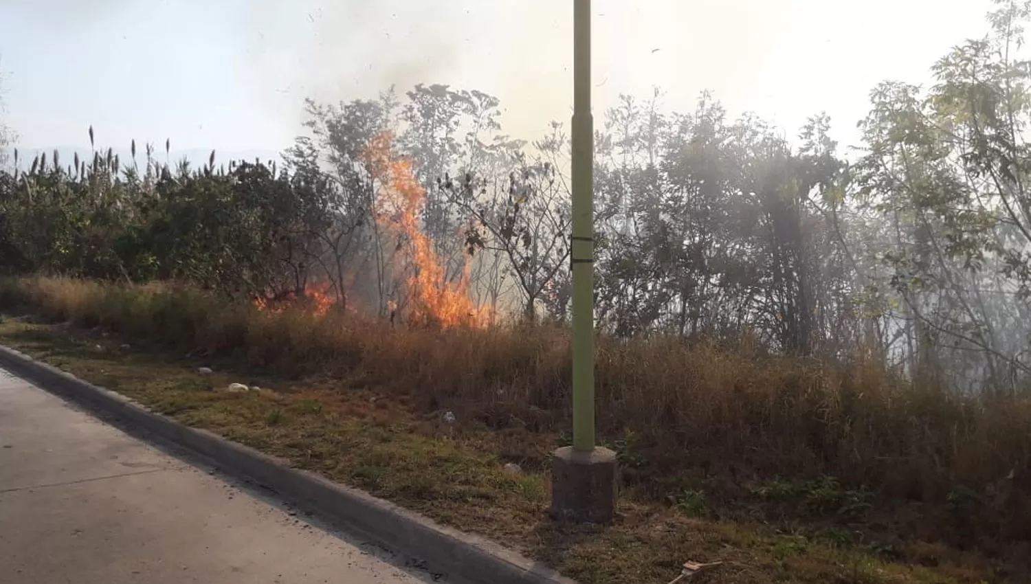 Incendio en el Camino de Sirga