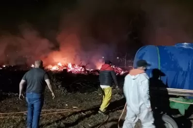 Otro incendio que pone en riesgo el Parque 9 de Julio