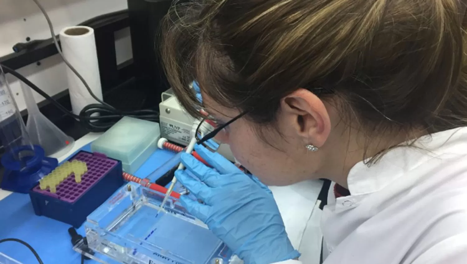 Las mujeres ocupan menos del 25% del empleo en Ciencia y Tecnología en la Argentina