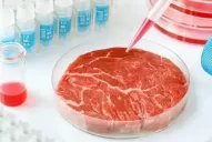 Alimentos 4.0: ¿Qué son las foodtech, la tendencia a la que Tucumán no escapa?