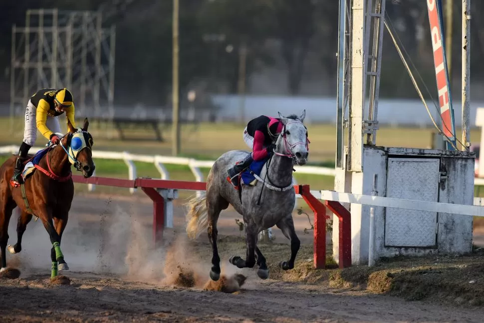 NOTABLE ÉXITO. La tordilla Prohibition guapeó frente a Wan Runner en la central.  
