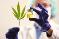 Cannabis medicinal: qué tratamientos se beneficiarán con la reglamentación