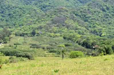 Bosque nativo: la UNT obtiene fondos para proteger el Parque San Javier