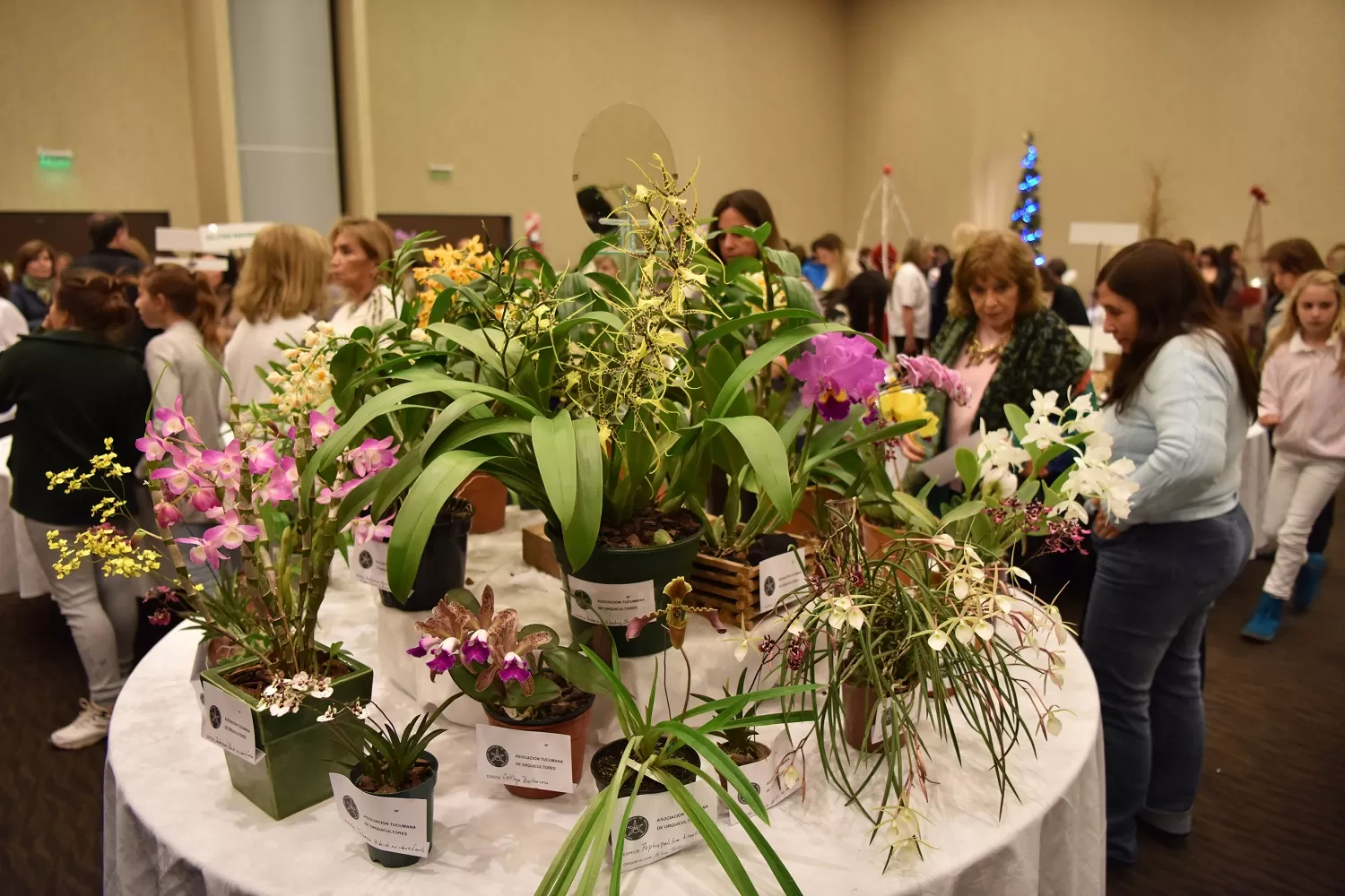 Siguen los festejos por el centenario del Garden Club Argentino