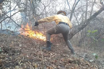 ¿Qué hay detrás de los incendios forestales?